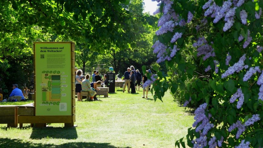 Welt-Acker im Bot. Volkpark Blankenfelde