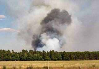 Waldbrand