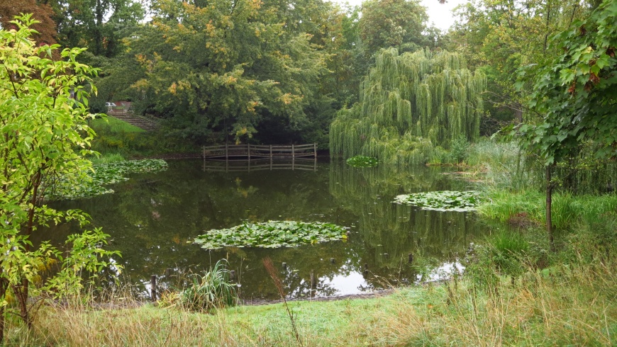 Goldfischteich in Berlin-Weißensee