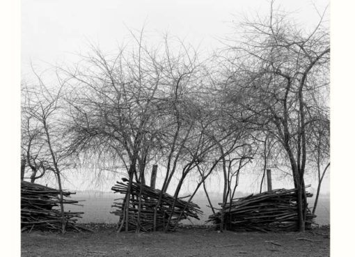 Fotoausstellung Galerie Amalienpark