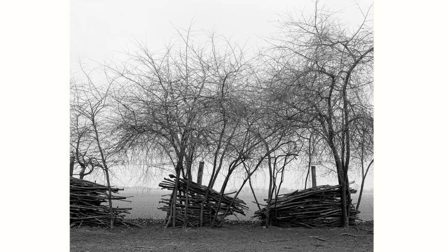 Fotoausstellung Galerie Amalienpark