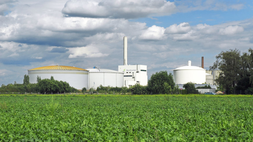 Zuckerrüben-Feld vor einem Nordzucker-Standort