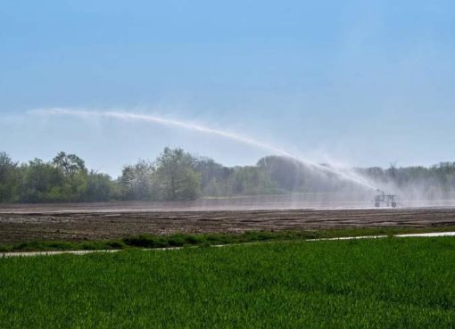 Künstliche Bewässerung in der Landwirtschaft