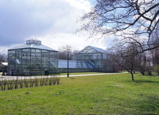 Botanischer Volkspark Blankenfelde-Pankow