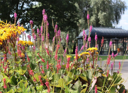 Blühende Landesgartenschau in Beelitz