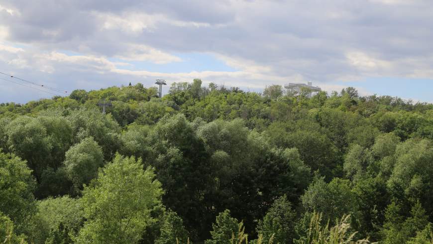 Kienberg mit Wolkenhain