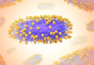 Respiratorisches Synzytial-Virus (RSV)