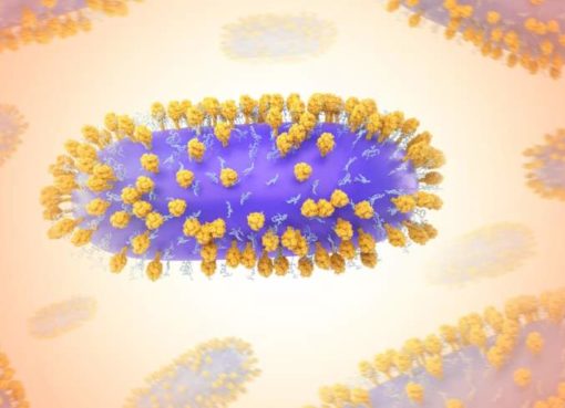 Respiratorisches Synzytial-Virus (RSV)