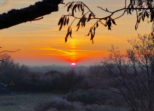 Sonnenaufgang Marienfelde