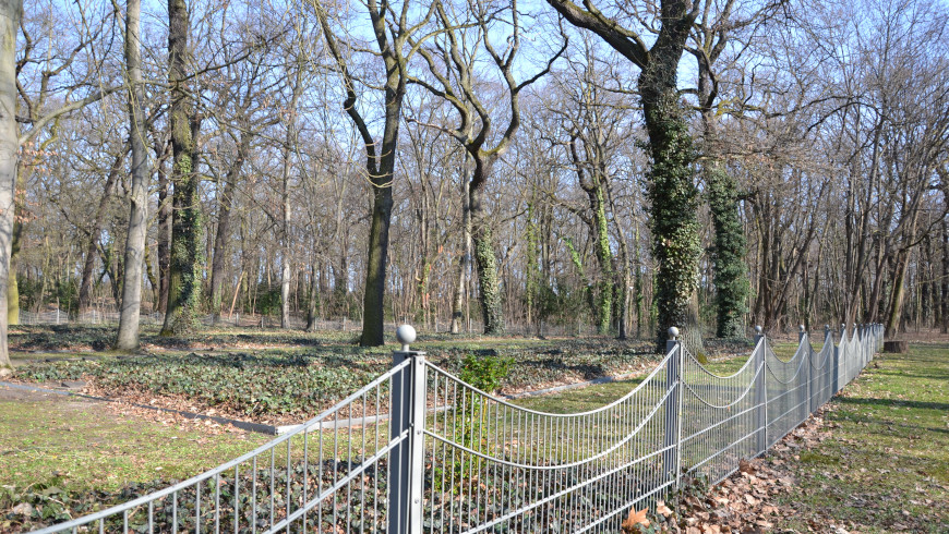 Kriegsgräber in der Schönholzer Heide. Hier sind auch Zwangsarbeiter beigesetzt.