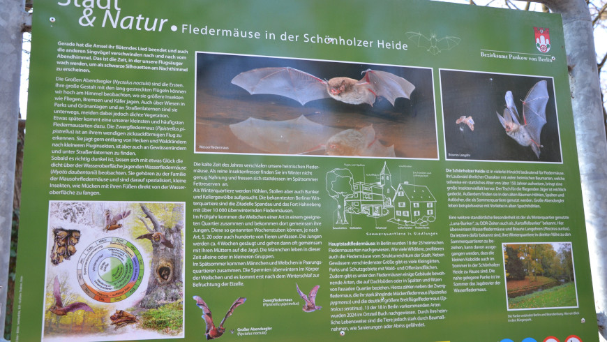 Sie nutzen den Bunker heute zu friedlichen Zwecken.