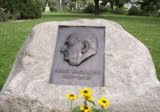 Gedenkstein Heinz Knobloch