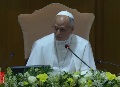 Papst Leo XIV. am 25.5.2026