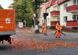 BSR-Laubbläser im Einsatz